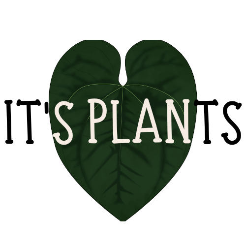 It's Plants